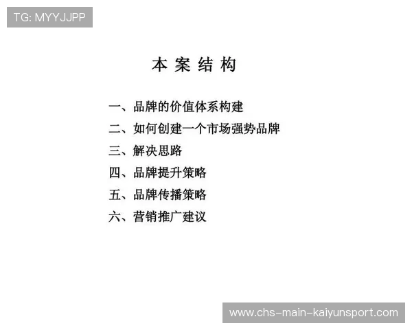 职业俱乐部品牌价值衡量与提升策略